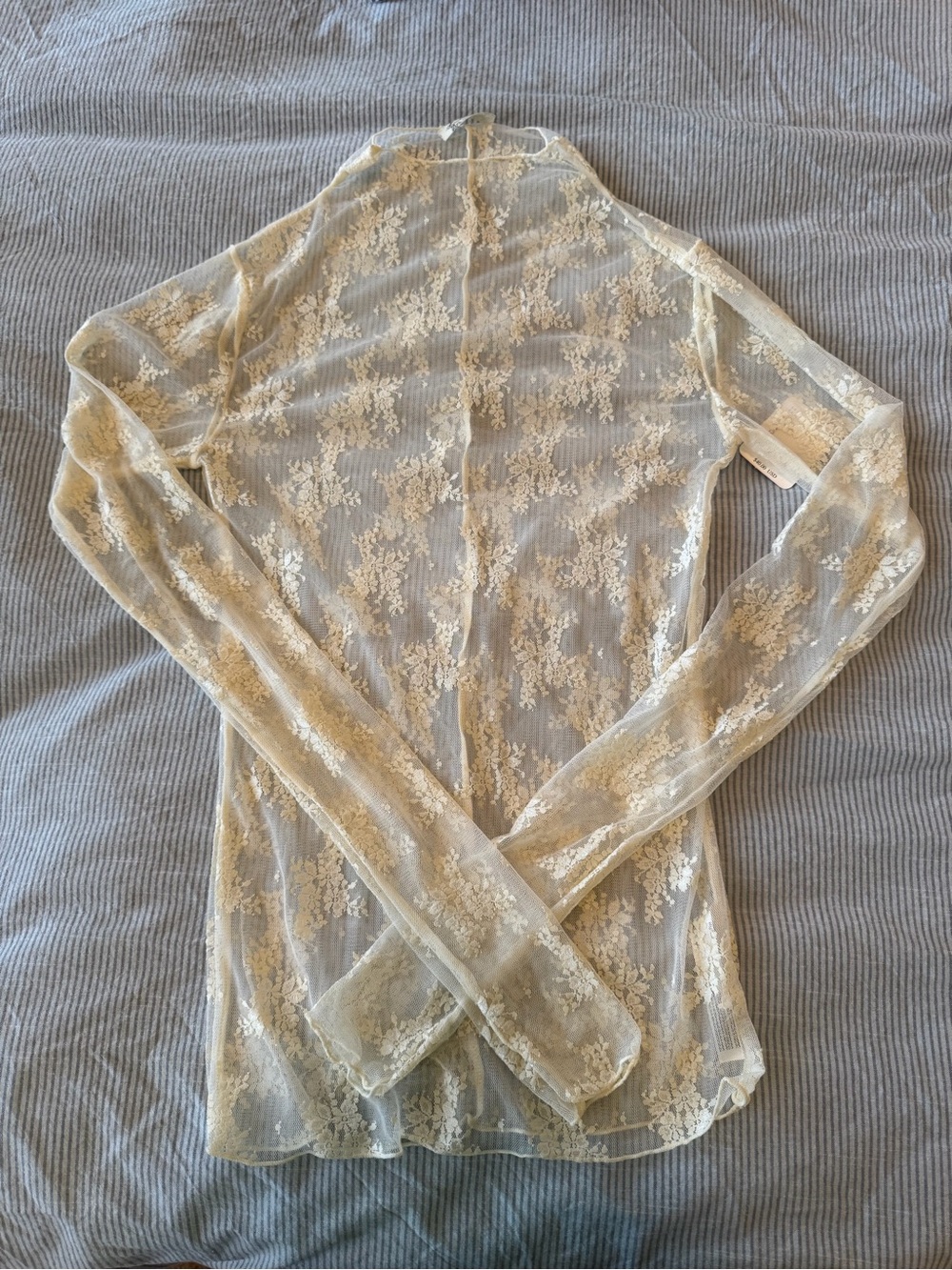 Free People Lady Lux Sheer Lace Long-Sleeve Top in Cream